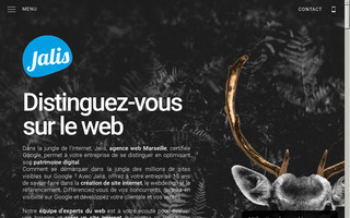 jalis.fr website preview