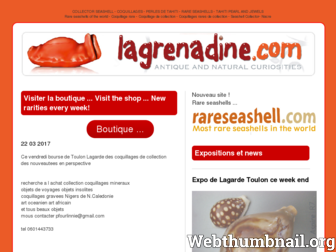 lagrenadine.com website preview