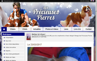desprecieusespierres.chiens-de-france.com website preview