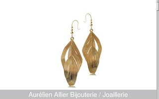 aurelien-allier.fr website preview