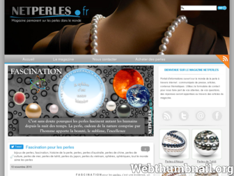 netperles.fr website preview