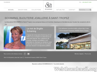 schaming-bijouterie.fr website preview