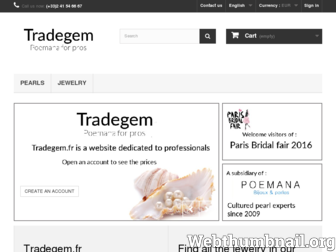 tradegem.fr website preview