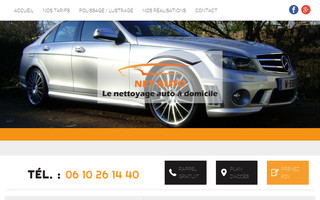 netauto59.com website preview