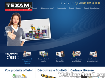 texamfrance.fr website preview