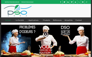 dso2002.com website preview