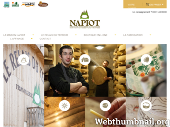 napiot.com website preview