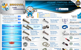 bricovis.fr website preview