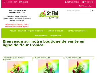 fleurexotique.com website preview