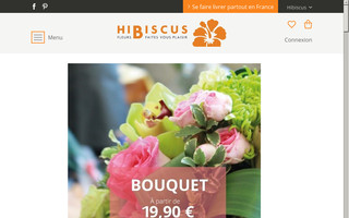 nantes.hibiscusfleurs.fr website preview