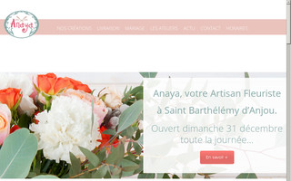 anaya-fleur.fr website preview