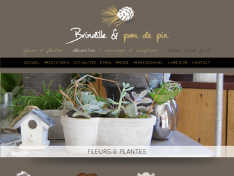 fleuriste-kaysersberg.fr website preview