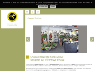 choquel-fleuriste-horticulture.fr website preview