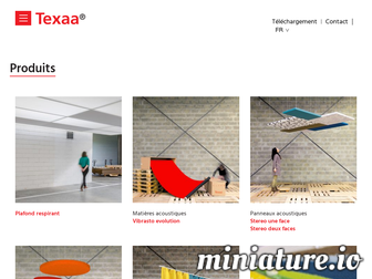 texaa.fr website preview