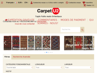 carpetu2.fr website preview
