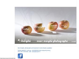 mesplie.fr website preview