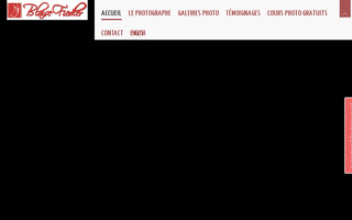 photographe-mariages.net website preview