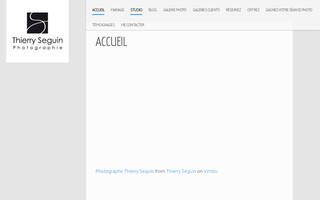 thierryseguin.com website preview