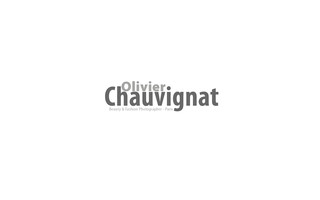 olivier-chauvignat.com website preview
