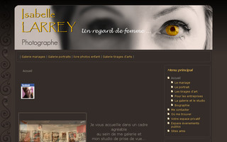 larrey-photographe.fr website preview