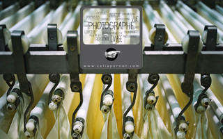 celiapernot.com website preview