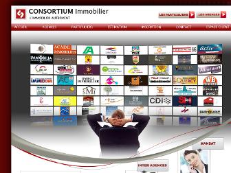 consortium-immobilier.com website preview
