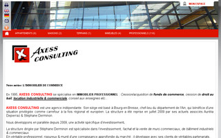 axess-consulting.com website preview