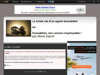 immobilier-revelateur-de-la-nature-humaine.over-blog.com website preview