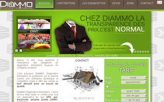 diammo-diagnostics.fr website preview