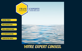 francexperts.fr website preview