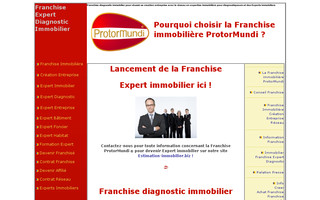 franchise-expert-immobilier.fr website preview