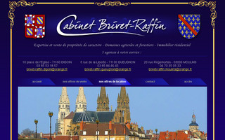 cabinetbrivet-raffin.fr website preview