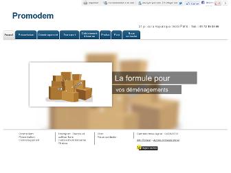 demenagement-paris-demenageur.com website preview