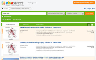 demenagement.vivastreet.com website preview