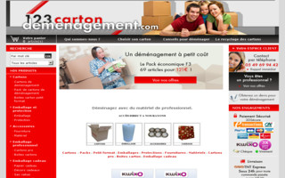 123cartondemenagement.com website preview