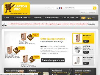 carton.pro website preview