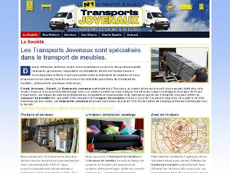 transport-de-meubles.com website preview