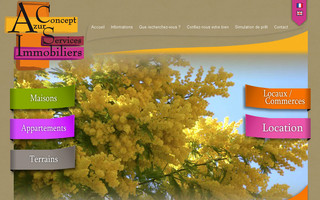 azur-concept-services-immobiliers.com website preview