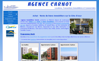 immobilier-carnot.fr website preview