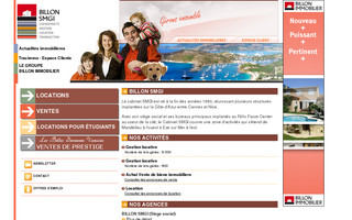 billon-immobilier.com website preview