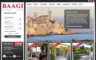 baagi.com website preview