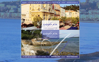 vieux-nice-immobilier.com website preview