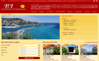 berenice-immobilier.com website preview