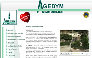 agence-immobiliere-nice.biz website preview
