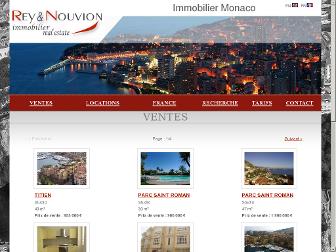rey-nouvion.com website preview