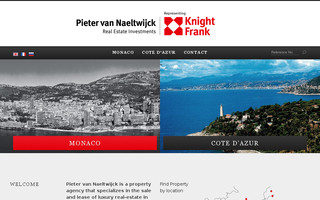 pvnrealestate.com website preview