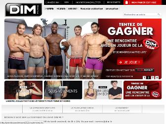 dim.fr website preview