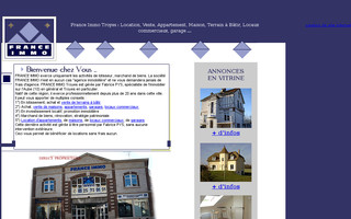 franceimmo.net website preview