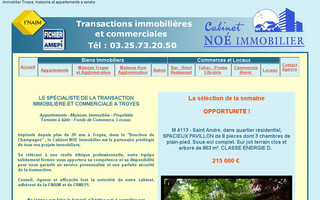 noe-immobilier.fr website preview