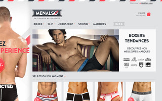 menalso.fr website preview